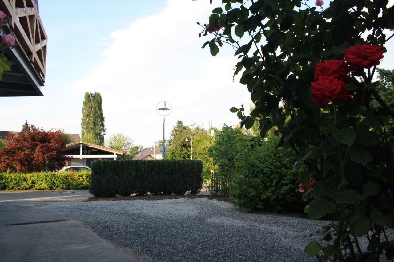 Ferienwohnung Anna - Charmante Ferienwohnung In Bevorzugter Lage คอนสตานซ์ ภายนอก รูปภาพ